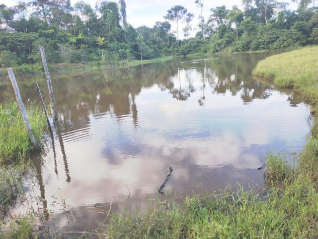 Vende-se uma colônia (Preço Negociável) - Foto 5
