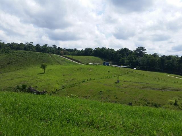 Fazenda na AM 010 - Foto 14