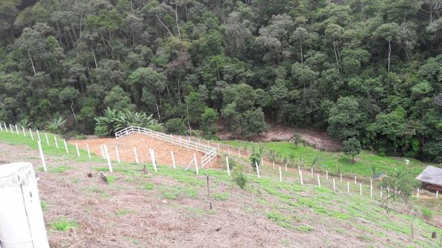 G Cód 286 Sítios e Áreas em Friburgo!!! - Foto 4