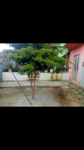 Vendo troco - Foto 4