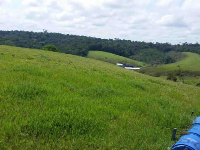 Fazenda na AM 010 - Foto 6