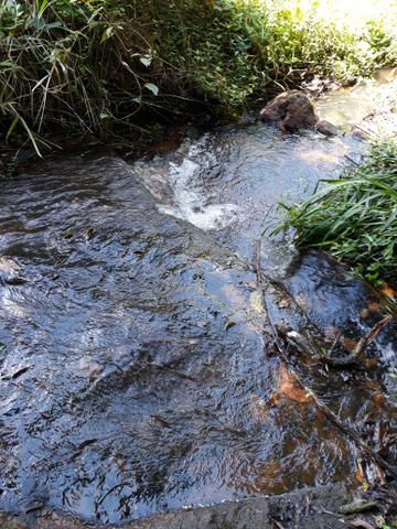 Sitio sossegado muita agua. riacho. represa. area privilegiada. - Foto 5