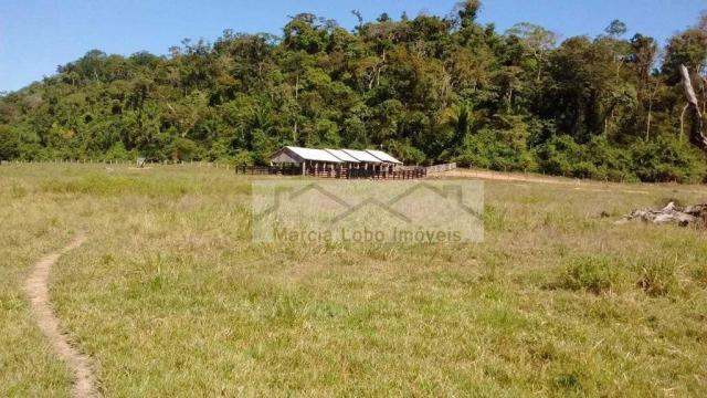 Fazenda à venda, 14520000 m² por r$ 4.500.000 - zona rural - são félix do xingu/pa - Foto 3