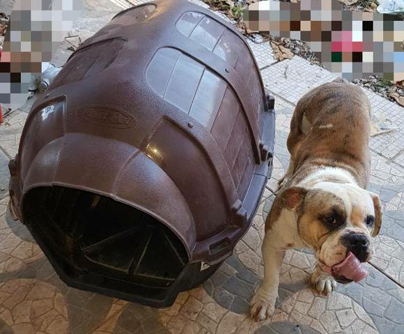Casinha de cachorro - Foto 2