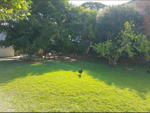 Permuta/venda linda chácara - Foto 5