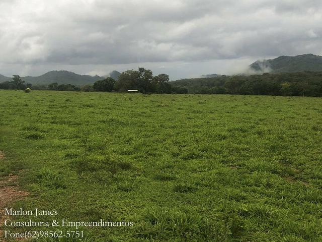 Fazenda em Vila Propício-Go! - Foto 9