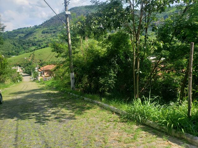 Lote Cantagalo rj