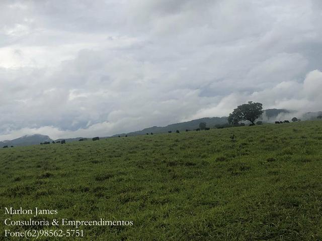 Fazenda em Vila Propício-Go! - Foto 2