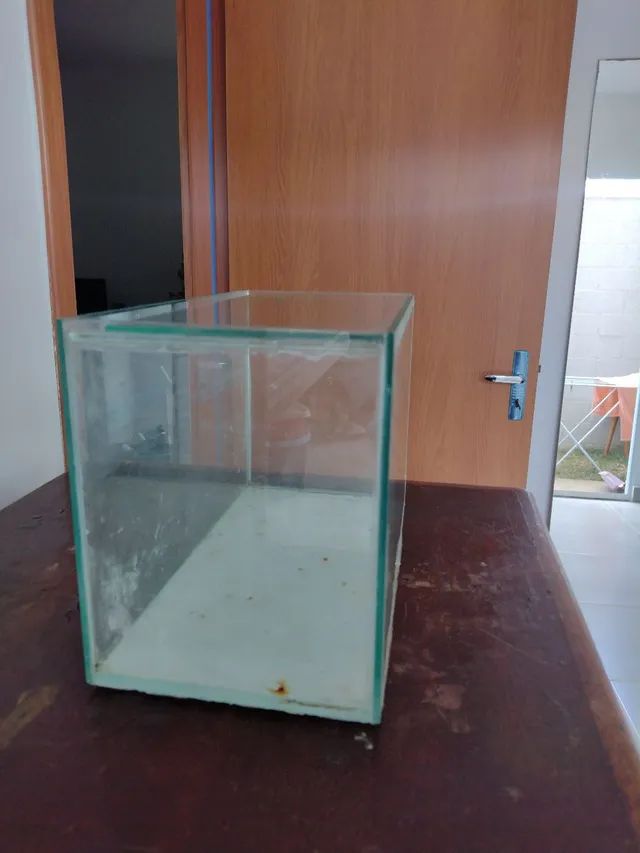 Aquário  - Foto 3