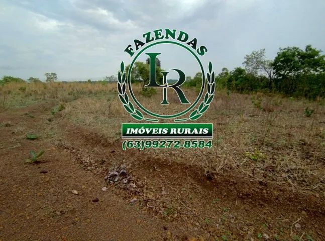 Fazenda 43 Alqueires Próximo a Palmas - Foto 5