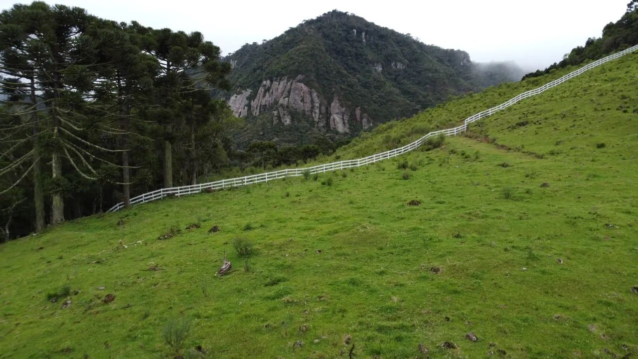 Sítio com cachoeira paradisíaca! - Foto 12