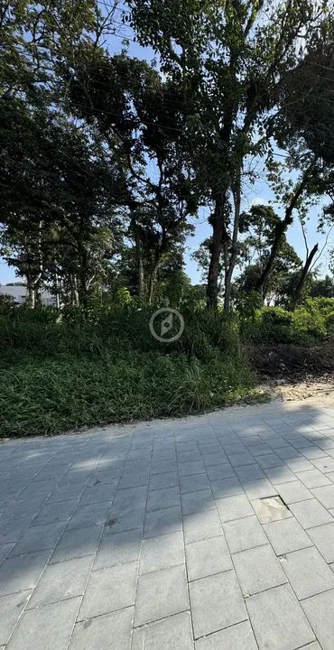 Terreno à venda no bairro Corticeira - Guaramirim/SC
