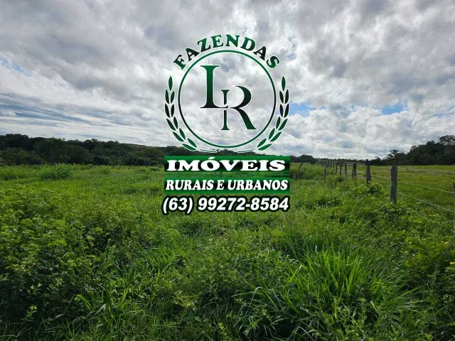 Fazenda 377 Alqueires Tocantins Campos Lindos