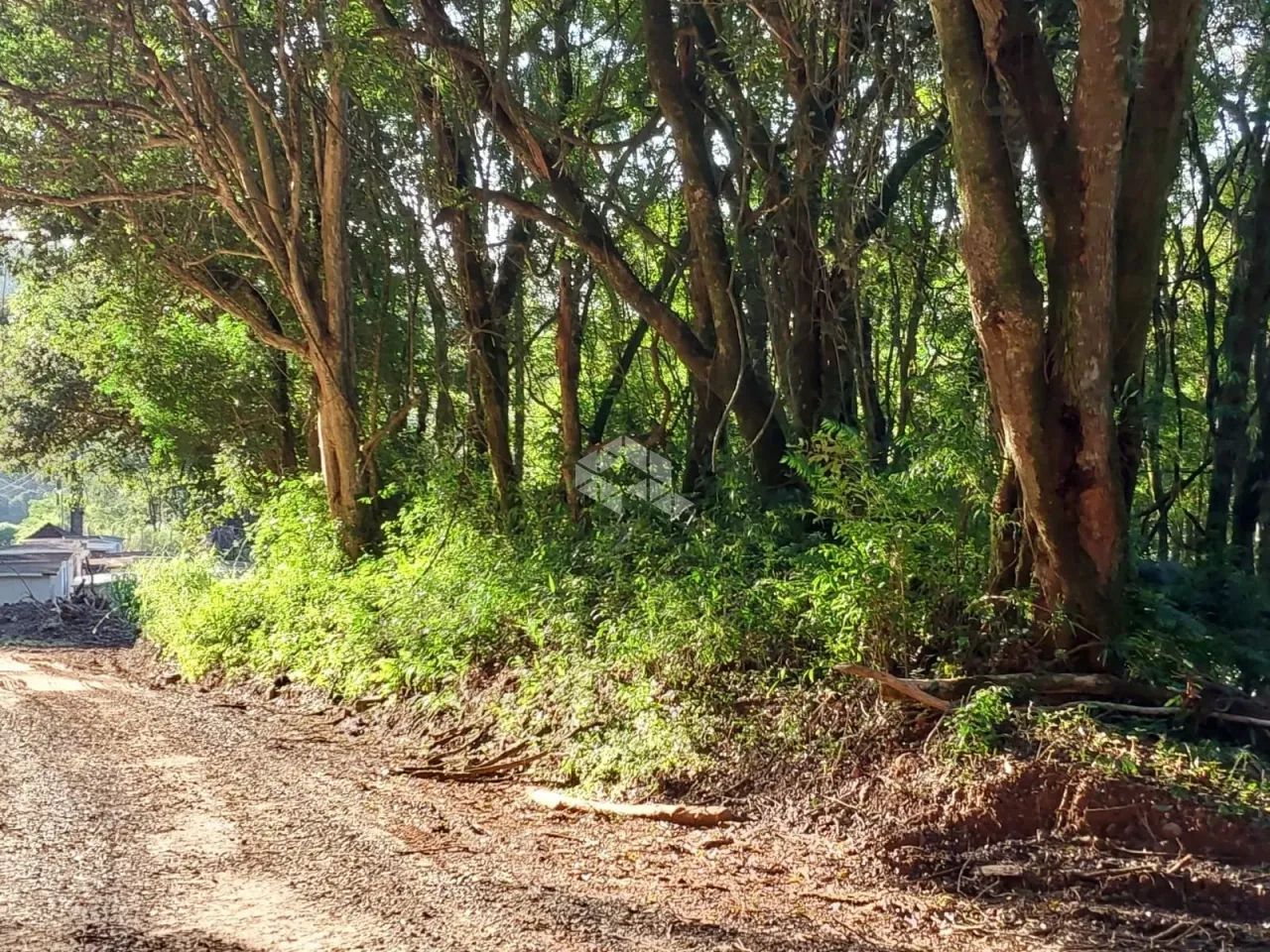 Área de terra de 02 hás agricultável - Foto 8