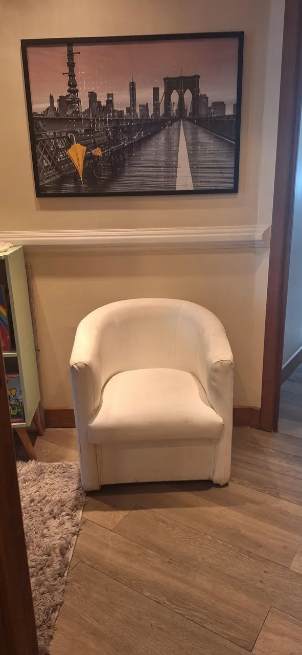 Poltrona Confortável de Design Moderno