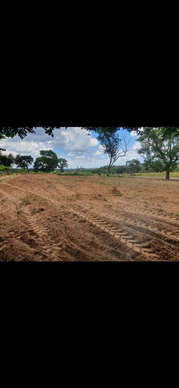 Vendo de 3 hectares em ribas do rio pardo.