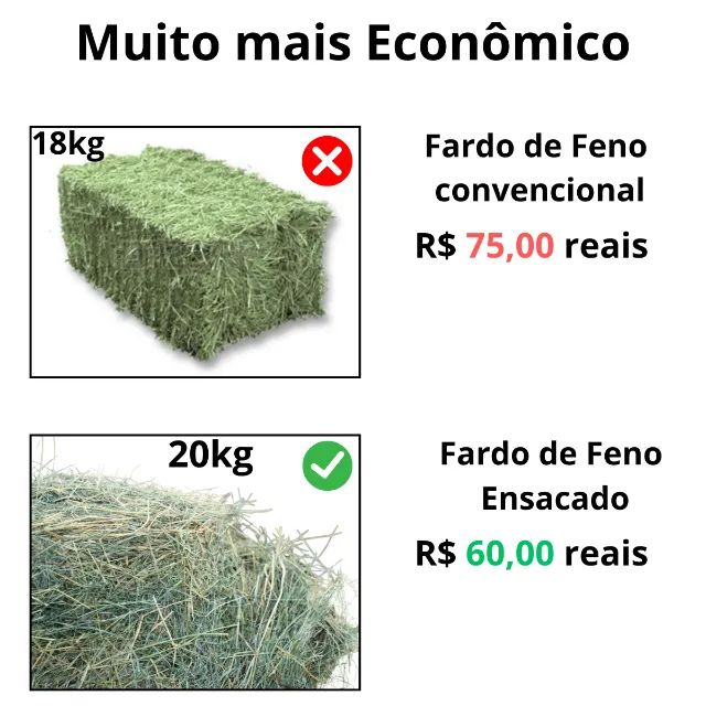 Fardo de Feno tifton tipo A - ensacado 20kg - Foto 3