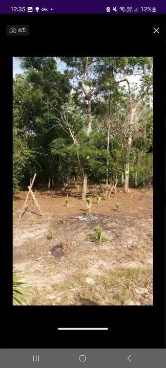 Terreno no Caribe brasileiro Alter-do-Chão