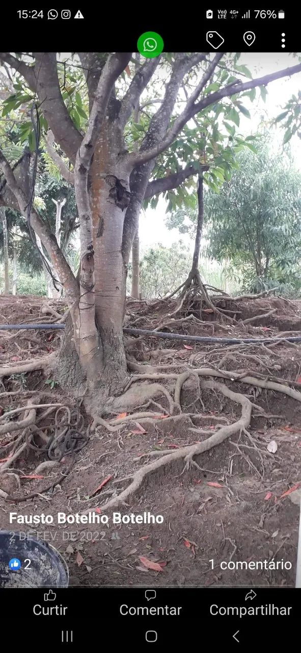 VENDA SITIO - Foto 5