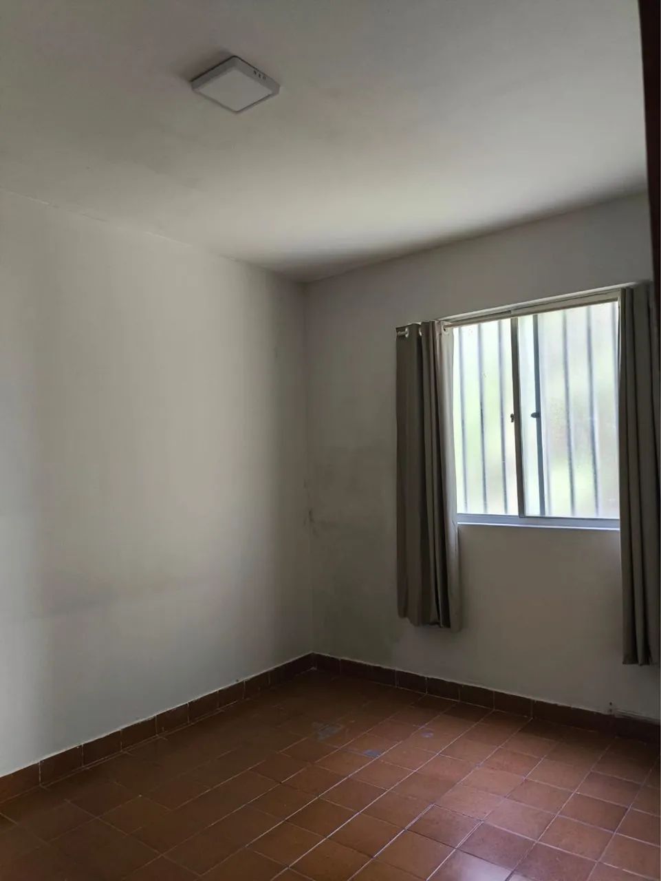 Foto - João Pessoa - Ipês