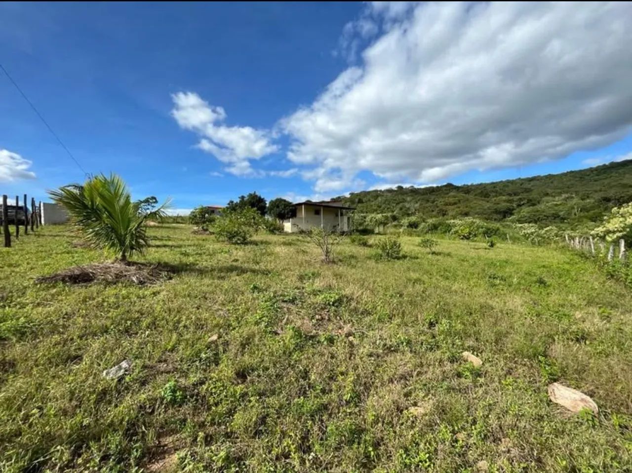 Sítio com casa e área verde - Foto 4