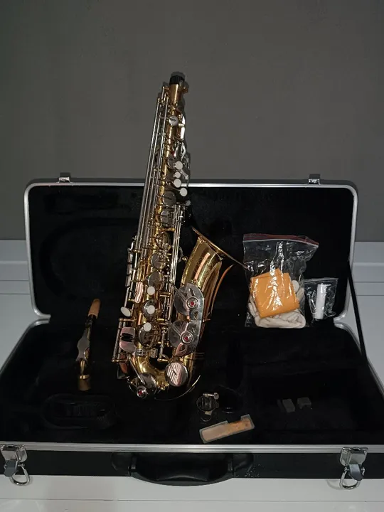 Saxophone Alto - VALOR A NEGOCIAR