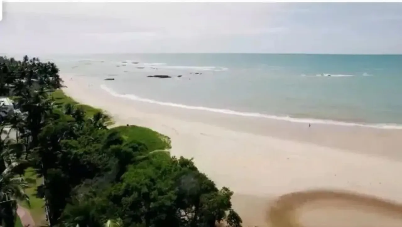 Morada da garça