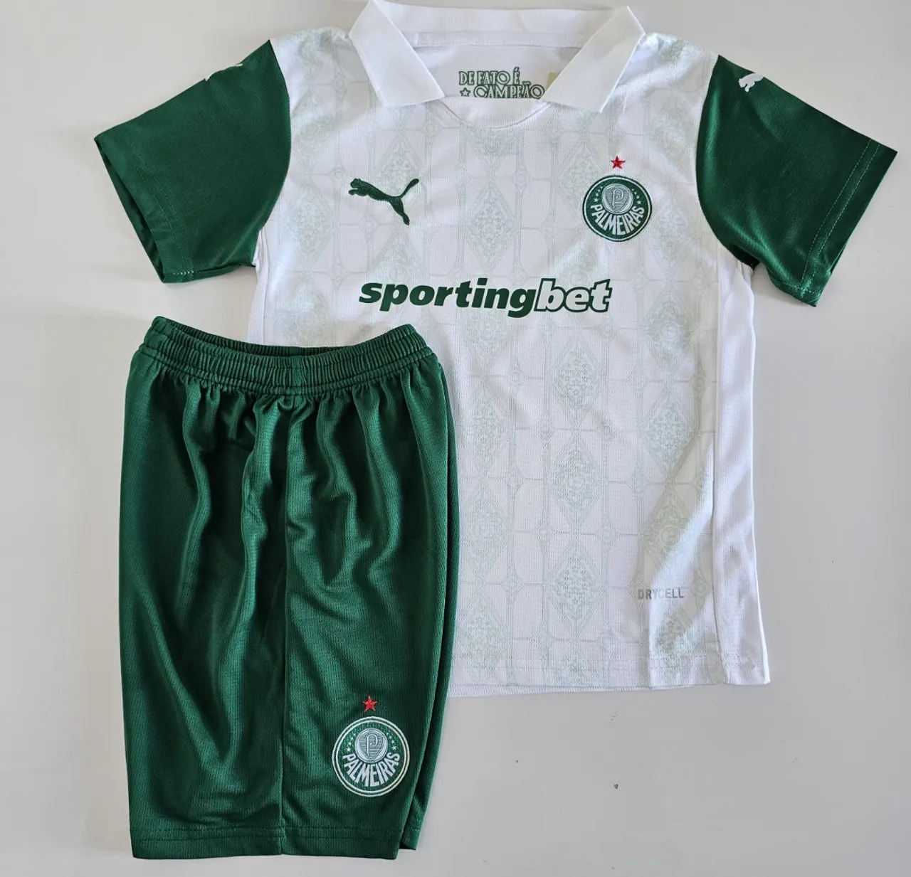 Conjunto infantil do Palmeiras lançamento 2025 - Pronta entrega