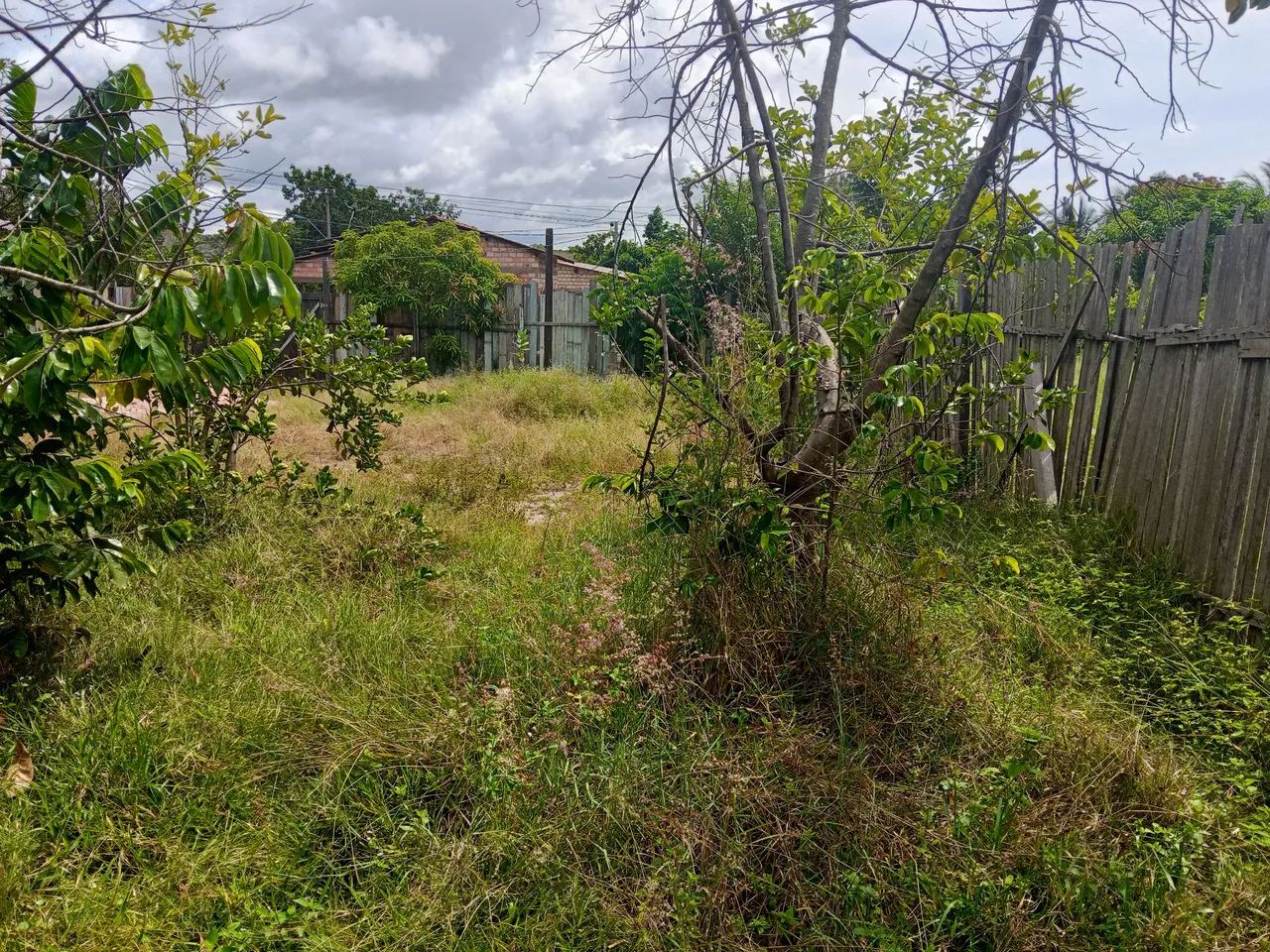 foto - Santarém - Santarenzinho