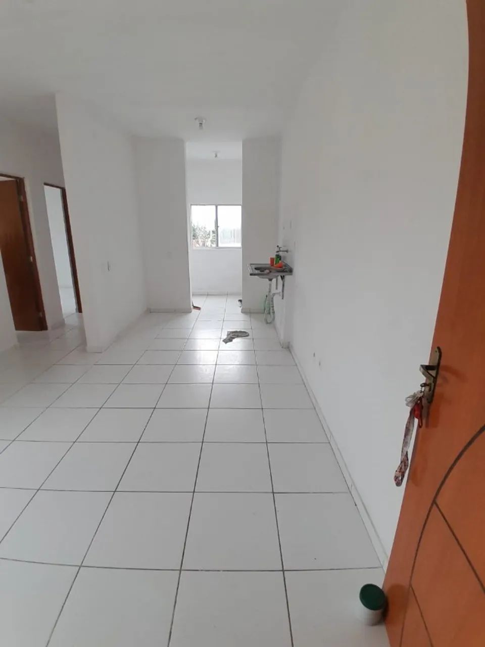 Repasse na Helio gueiros Iha de marajo terreo