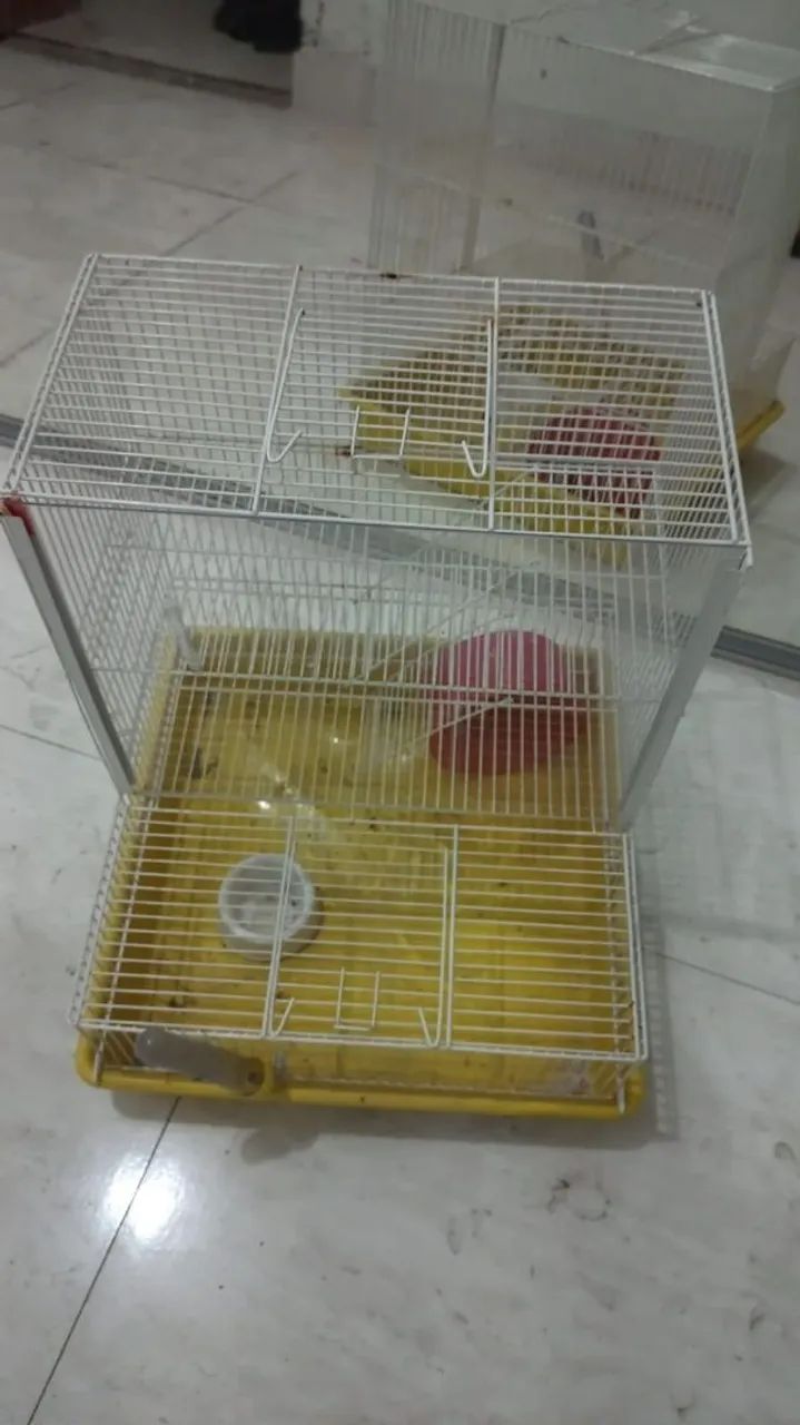 Gaiola 64298892525059121