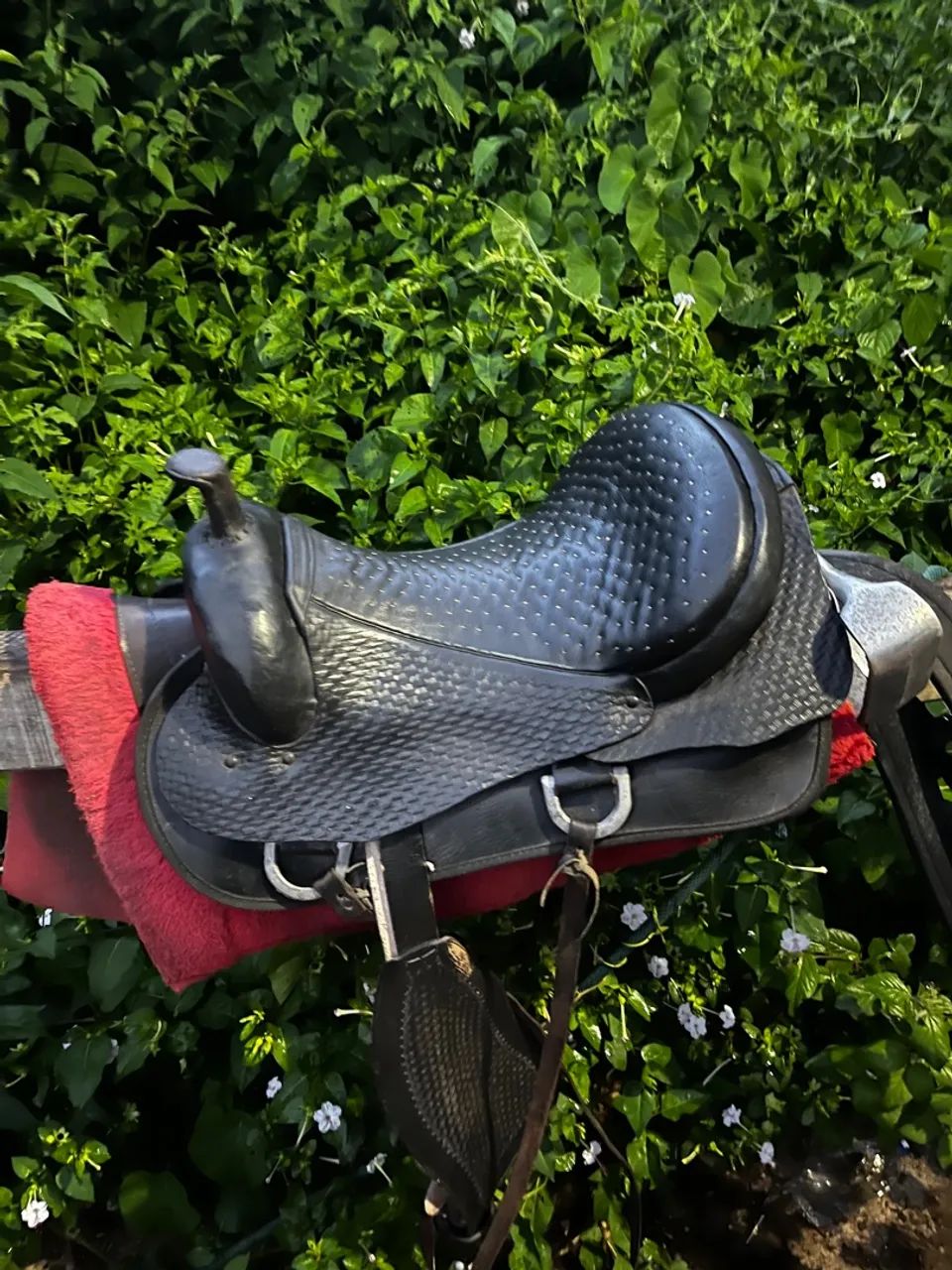 Sela em couro legítima, bem conservada!.