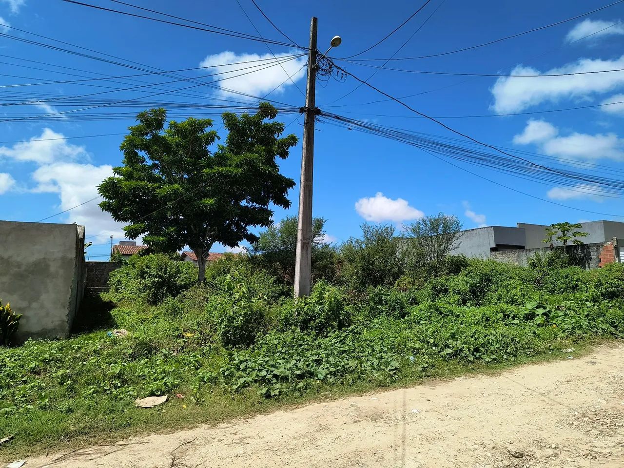 Lote no Guajará - Foto 4
