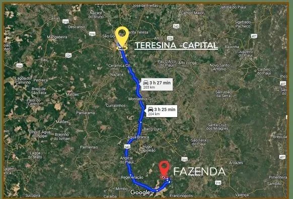 Imóvel para venda com 2.500.000 metros quadrados em Centro - Jardim do Mulato - PI - Foto 3