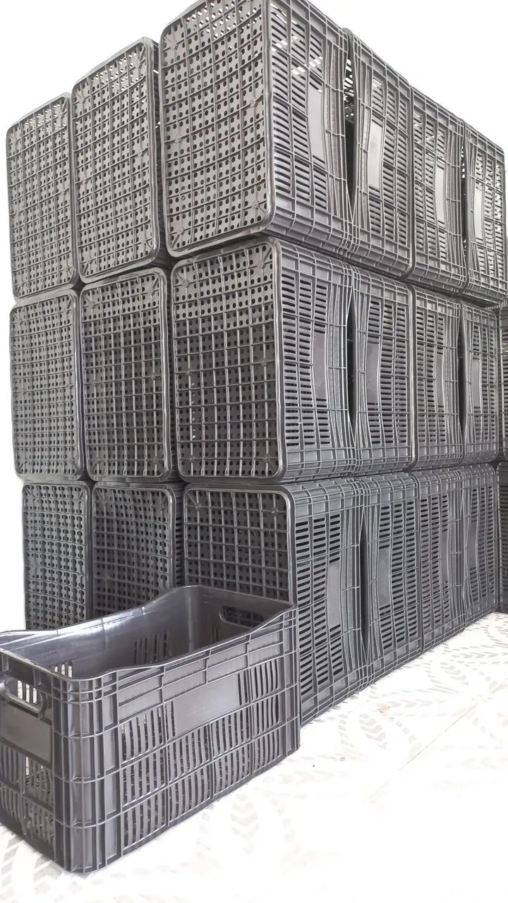 Caixa de Plástico Hortifrut para Transporte - Foto 3