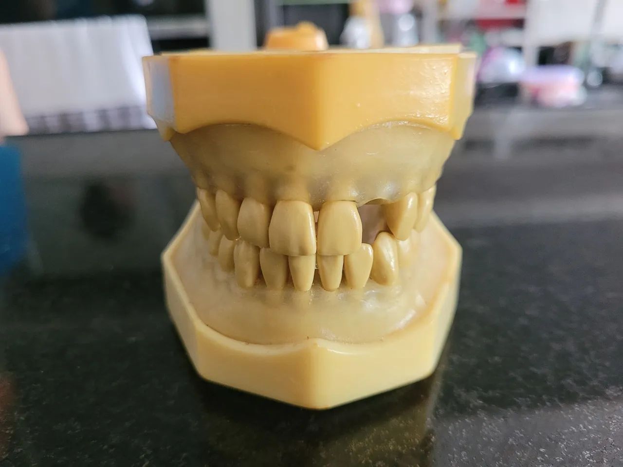 manequim periodontia - Foto 2
