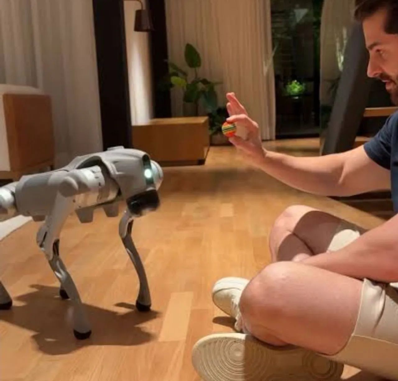 Cão Robô Go Pro 2: O Melhor