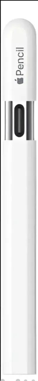 Apple Pencil (usb-c) original Nacional lacrado - Peças de Hardware