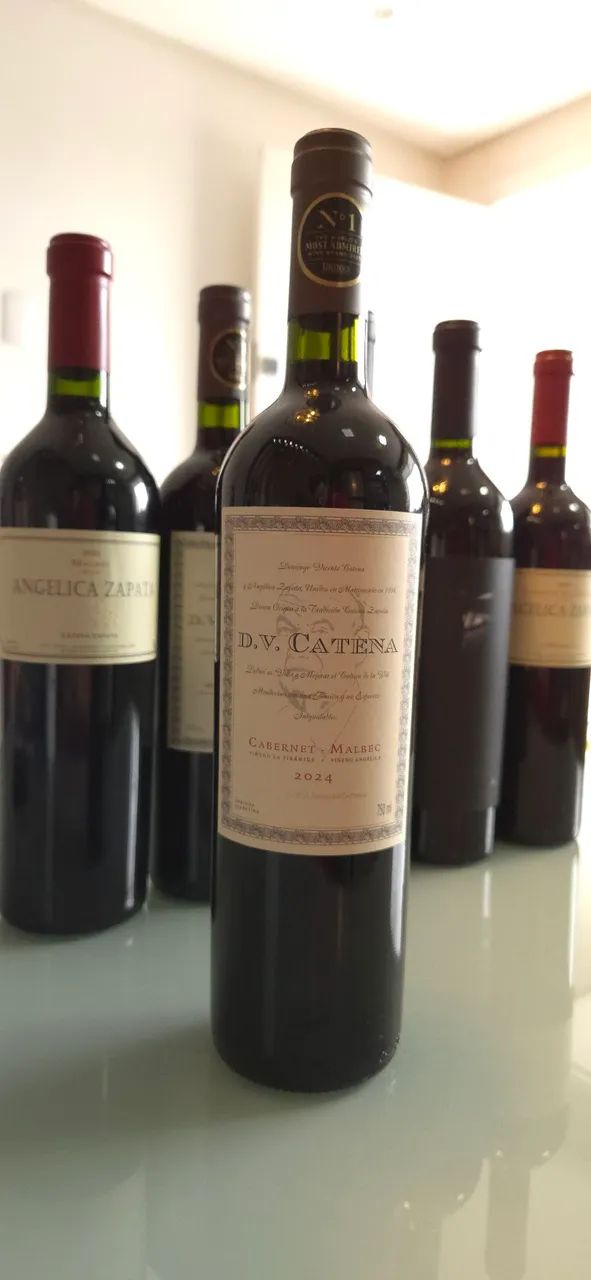 Vinhos Argentinos - Foto 2