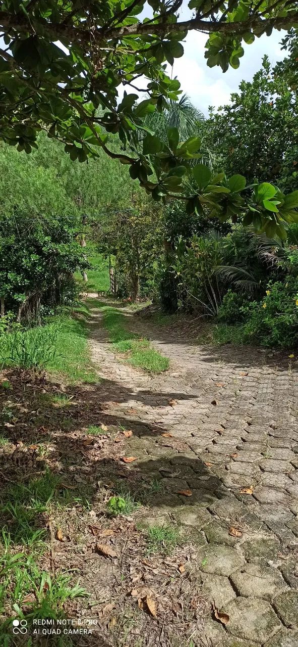 Vende se sitio cidade de registro sp - Foto 3