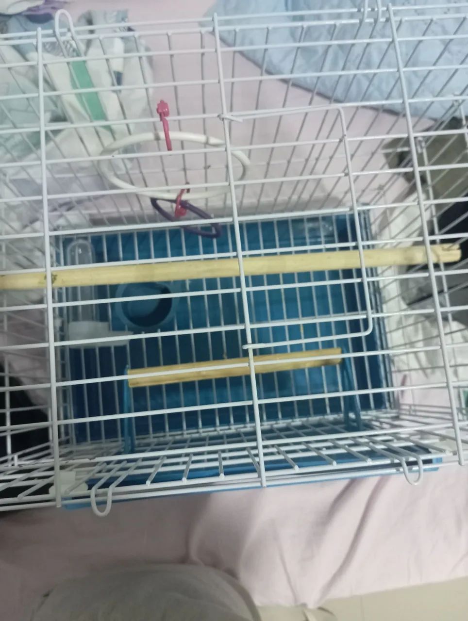 Gaiola jel plast pet piu junior  - Foto 2