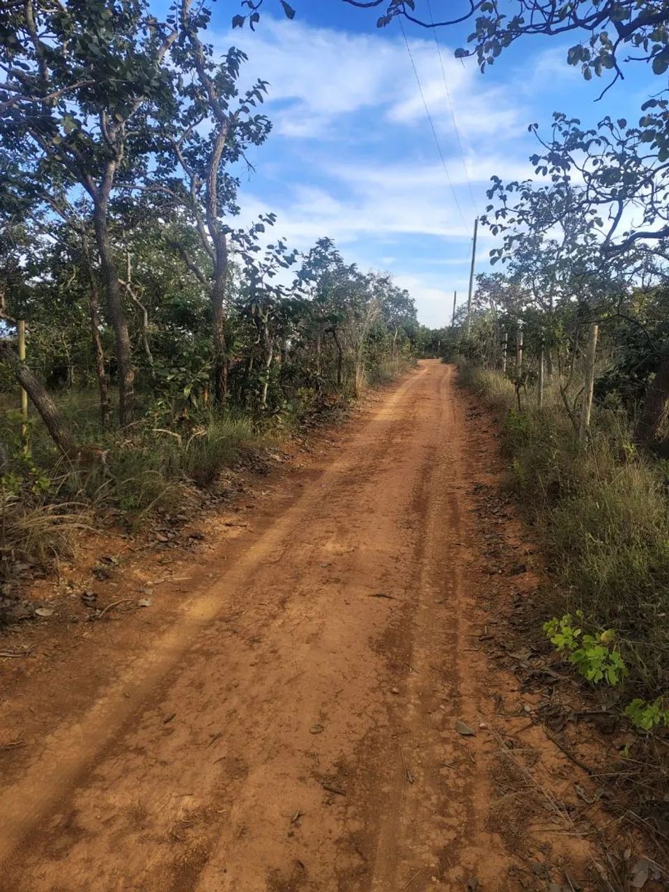 Lote perto Serra do Cipó - Curralinho  - Foto 5