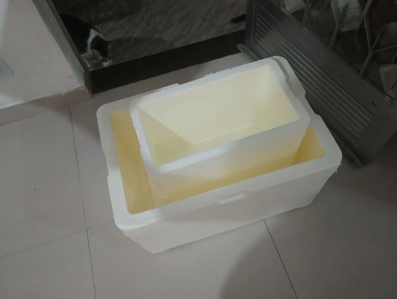 Vendo isopor de 50 e 30 litros  - Foto 2