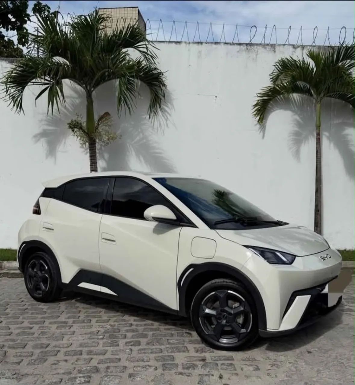 BYD Dolphin 2024