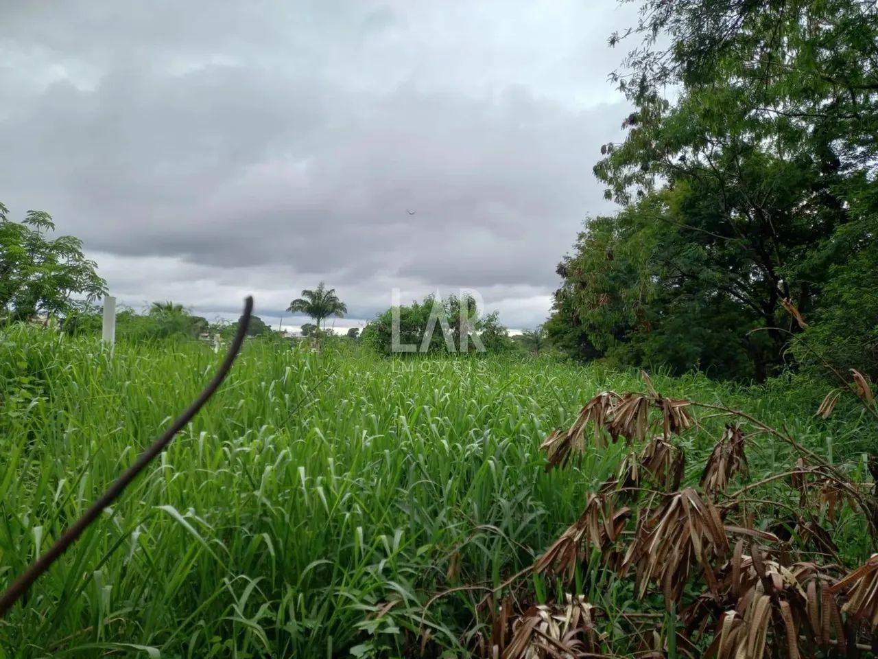 Lote - Terreno à venda, Garças - Belo Horizonte/MG - Foto 5