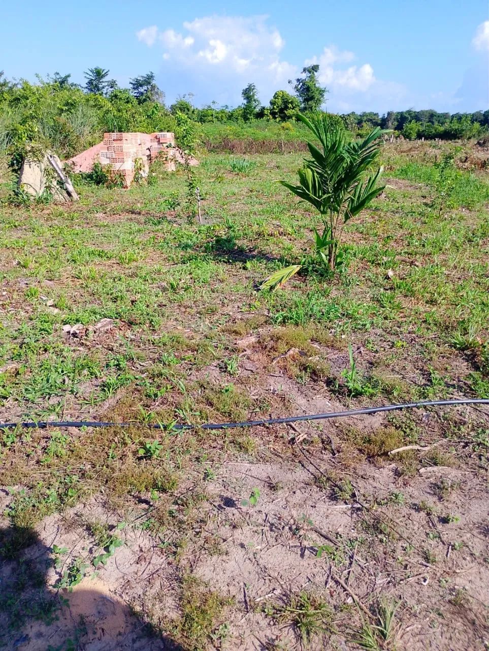 Foto - Santarém - Santíssimo