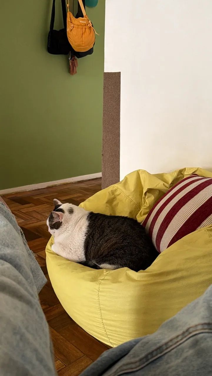 Puff amarelo toksok  - Foto 3