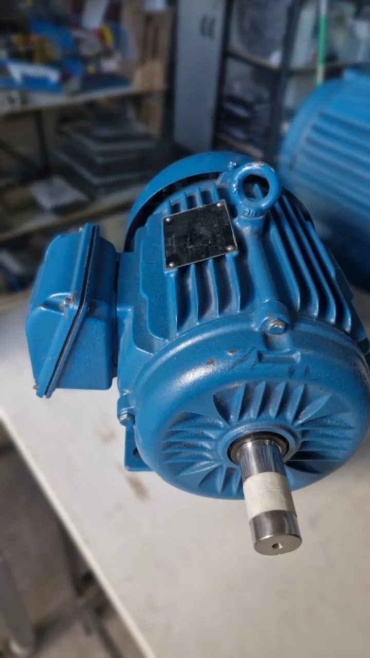 Motor Weg  4cv W22 Plus  - Foto 2
