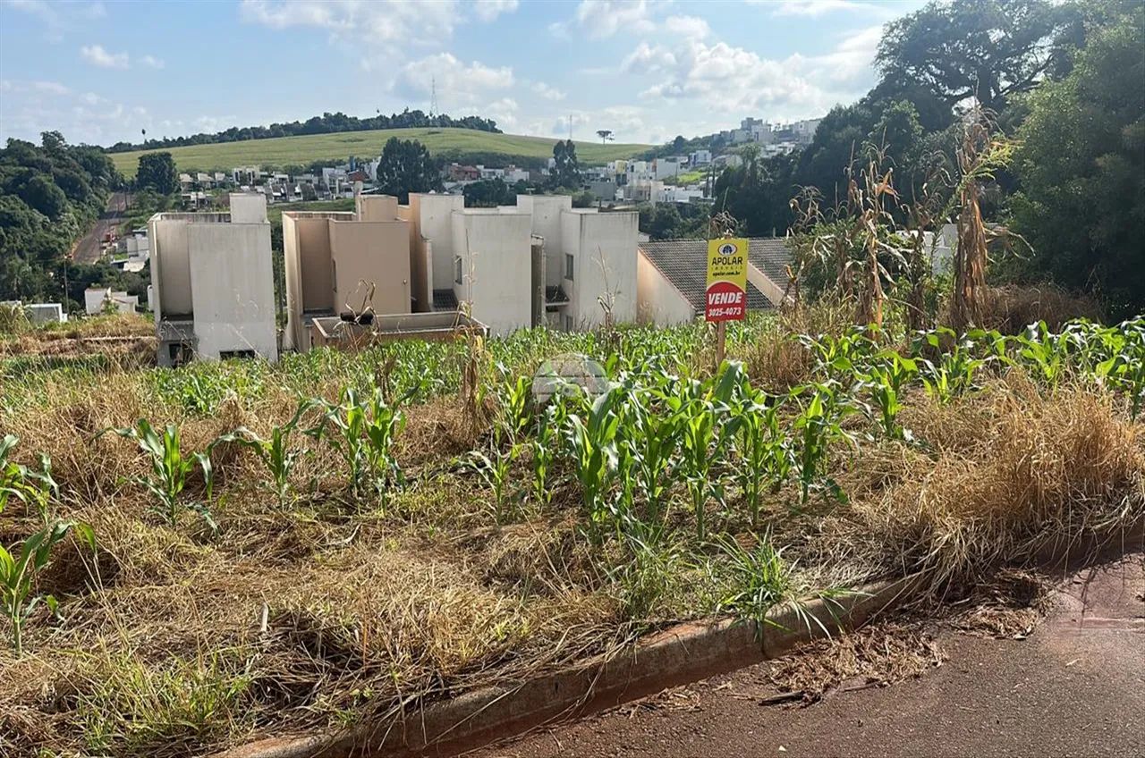 Vendas Terreno Pato Branco PR - Foto 4