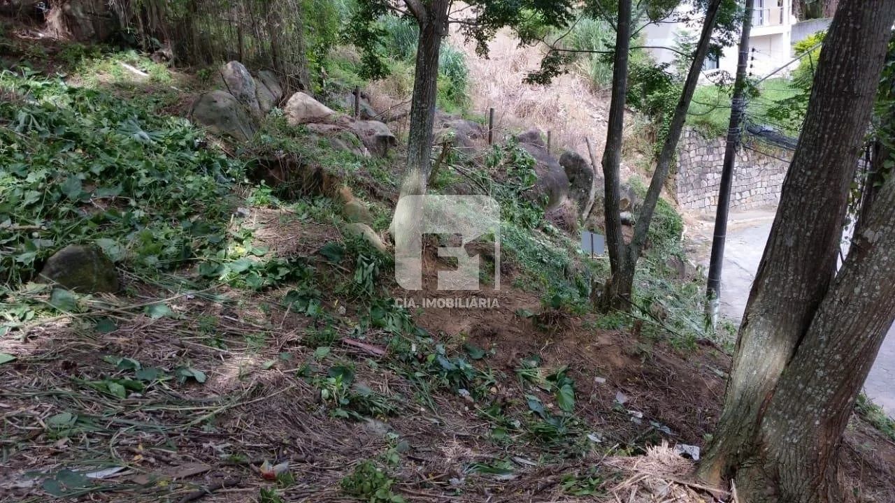 Terreno à Venda no Saco Grande - Foto 4